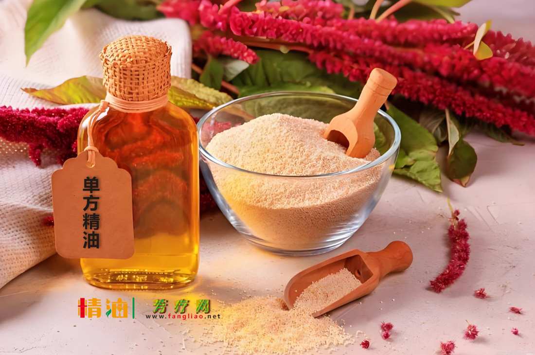 <strong>探索植物精粹的奥秘：一份全面的芳疗精油入</strong>